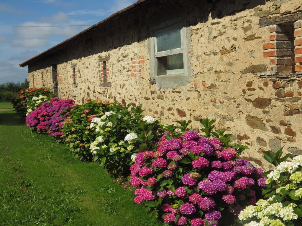 A La Haute Bouillere Bed & Breakfast Chavagnes-les-Redoux Exterior photo